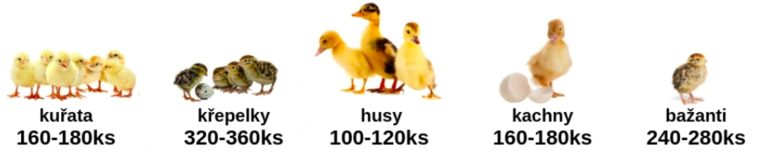 Snímka obrazovky 2026-03-16 o 20.12.17